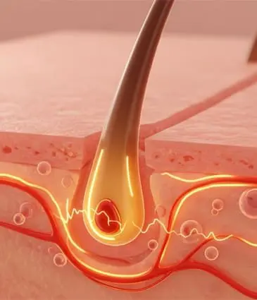 MAESKN Aesthetics - Hair Regenerative Treatment 3